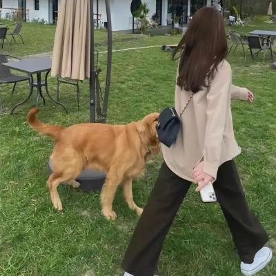 越狱者